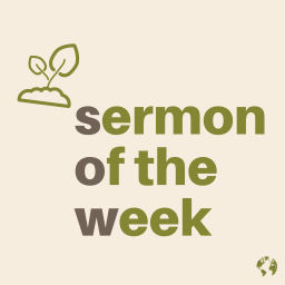Podcast thumbnail for Sermon Of The Week