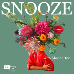 Podcast thumbnail for Snooze
