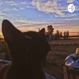 Podcast thumbnail for Día a Día