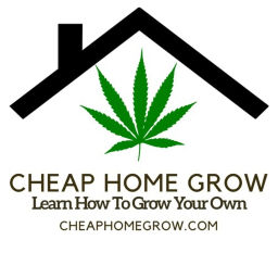 Podcast thumbnail for Cheap Home Grow - Learn How To Grow Cannabis Affordably Podcast