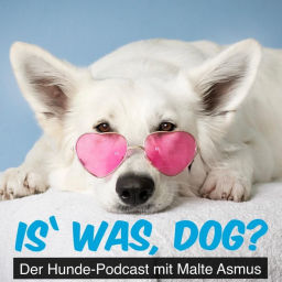 Podcast thumbnail for Is' was, dog?