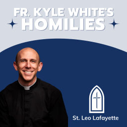 Podcast thumbnail for Fr. Kyle White's Homilies