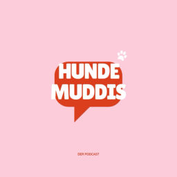 Podcast thumbnail for Hundemuddis