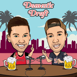 Podcast thumbnail for Domestic Draft