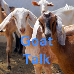 Podcast thumbnail for Goat Talk