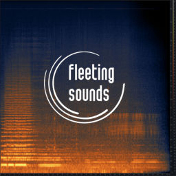 Podcast thumbnail for fleeting sounds