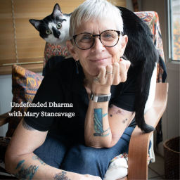Podcast thumbnail for Undefended Dharma with Mary Stancavage