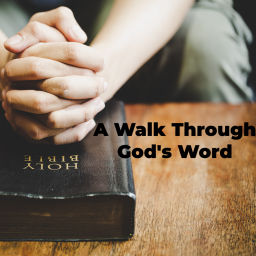 Podcast thumbnail for A Walk Through God's Word