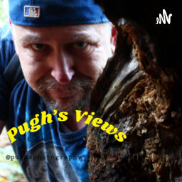 Podcast thumbnail for Pugh’s Views