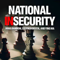 Podcast thumbnail for National Insecurity