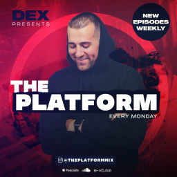 Podcast thumbnail for The Platform Mix