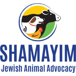 Podcast thumbnail for Shamayim: Jewish Animal Advocacy