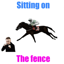 Podcast thumbnail for Sitting on the fence