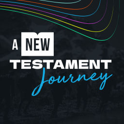 Podcast thumbnail for A New Testament Journey