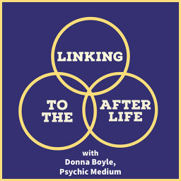 Podcast thumbnail for Linking To the Afterlife