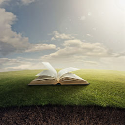 Podcast thumbnail for THE BAER TRUTH: Bible study subjects and messages by Daniel Baer