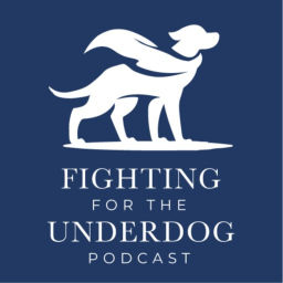 Podcast thumbnail for Fighting for the Underdog