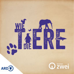 Podcast thumbnail for Wie die Tiere
