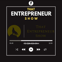 Podcast thumbnail for That Entrepreneur Show