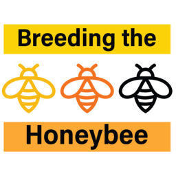 Podcast thumbnail for Breeding the Honeybee