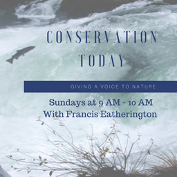 Podcast thumbnail for Conservation Today