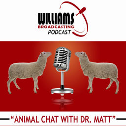 Podcast 7