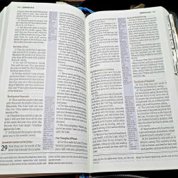 Podcast thumbnail for KJV Bible Teaching Podcast by Rev Timothy MacDonald