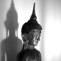 Podcast thumbnail for Insight Meditation Society - Forest Refuge: dharma talks and meditation instruction