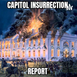 Podcast thumbnail for Capitol Insurrection Report
