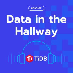 Podcast thumbnail for Data in the Hallway