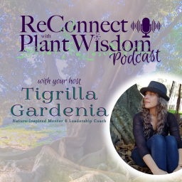 Podcast thumbnail for ReConnect with Plant Wisdom
