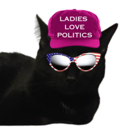 Podcast thumbnail for LADIES LOVE POLITICS