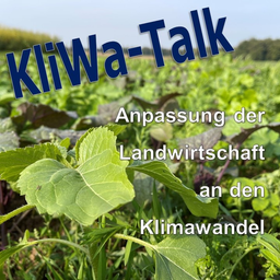 Podcast thumbnail for KliWa-Talk