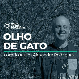 Podcast thumbnail for Olho de Gato