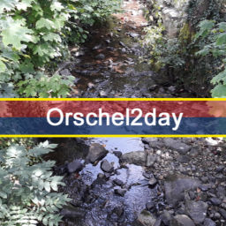 Podcast thumbnail for Orschel2day