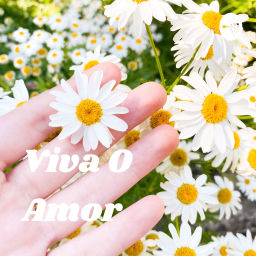 Podcast thumbnail for Viva O Amor - Lourdes Roim