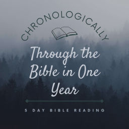 Podcast thumbnail for Chronologically Through the Bible in One Year