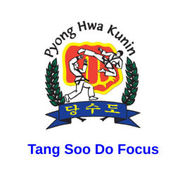 Podcast thumbnail for Tang Soo Do Focus