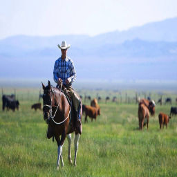 Podcast thumbnail for American Cattlemen