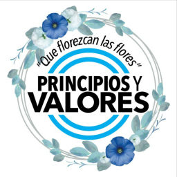 Podcast thumbnail for Principios y Valores