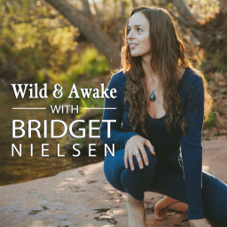 Podcast thumbnail for Wild & Awake with Bridget Nielsen