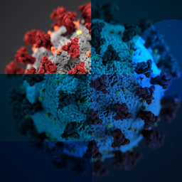 Podcast thumbnail for Coronavirus – Alltag einer Pandemie