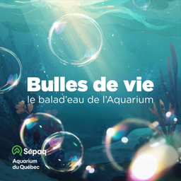 Podcast thumbnail for Bulles de vie : le balad'eau de l'Aquarium