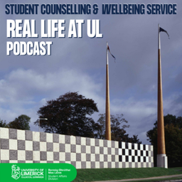 Podcast thumbnail for Real life at UL