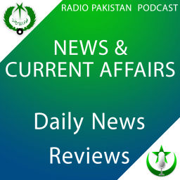 Podcast thumbnail for Daily News Reviews