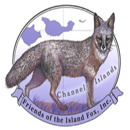 Podcast thumbnail for Friends of the Island Fox