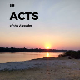 Podcast thumbnail for The Acts of the Apostles