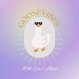 Podcast thumbnail for Goose Vibes