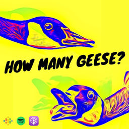 Podcast thumbnail for How many geese?