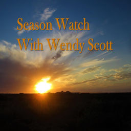 Podcast thumbnail for Season Watch with Wendy Scott